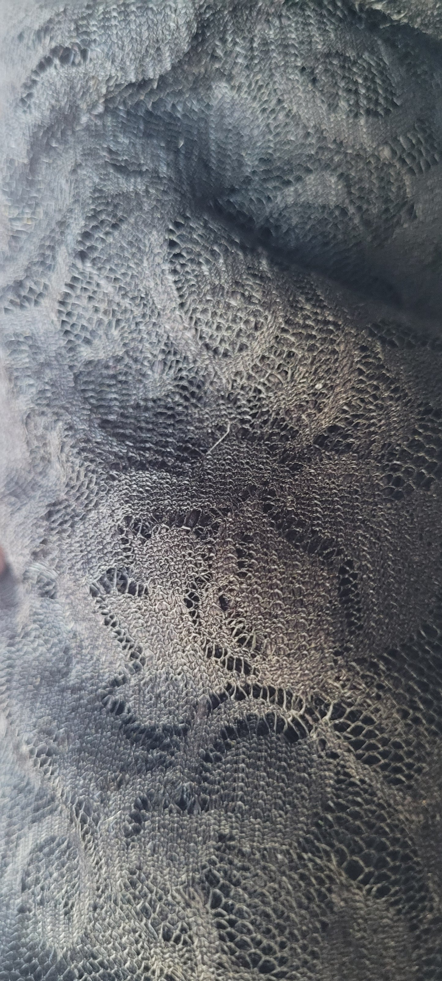 Lace cerise